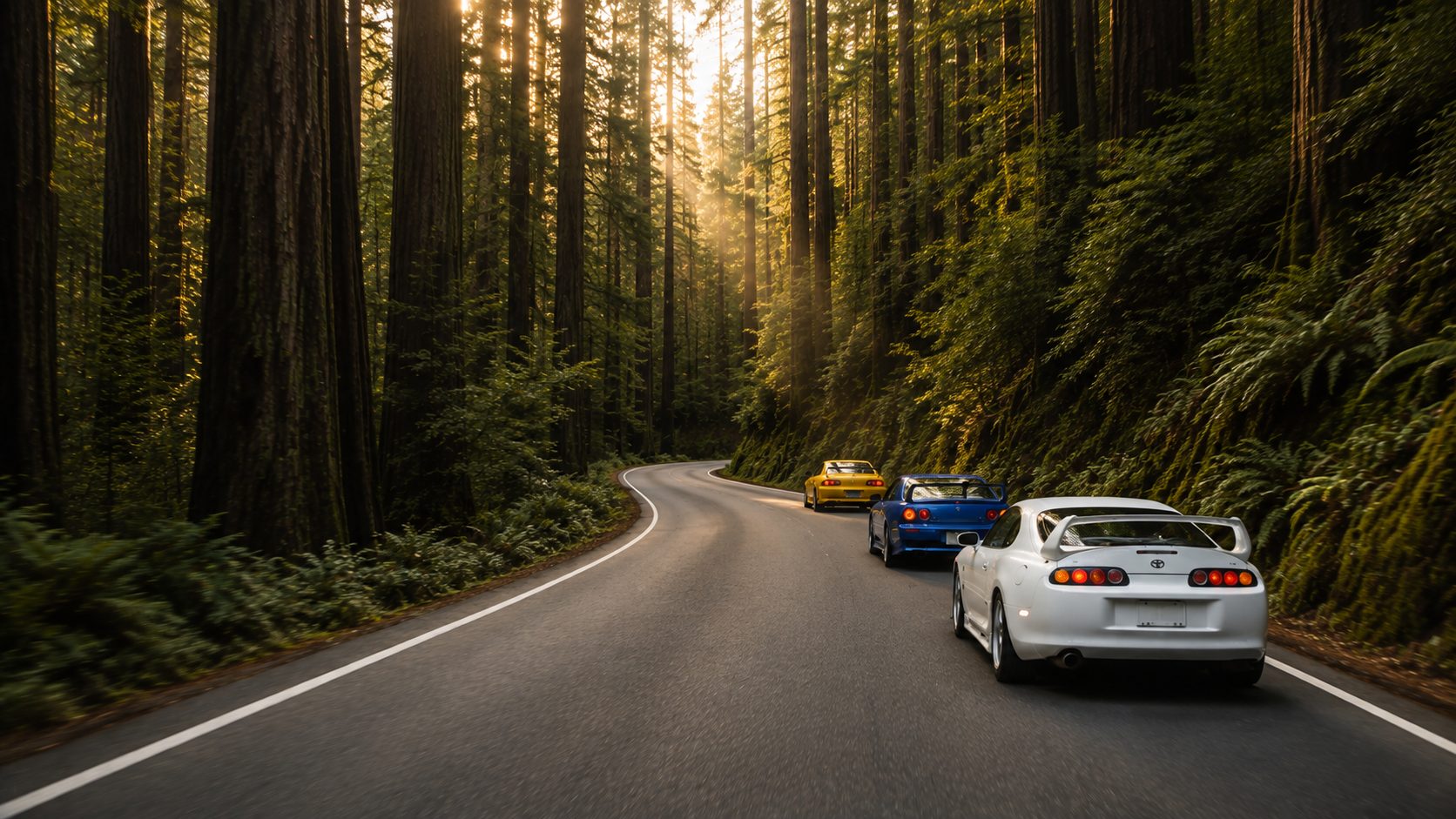 Three sports cars driving through a sunlit redwood forest road.